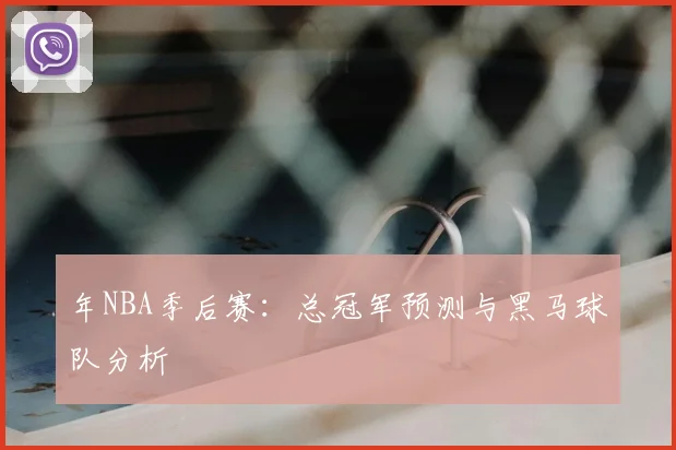 年NBA季后赛：总冠军预测与黑马球队分析